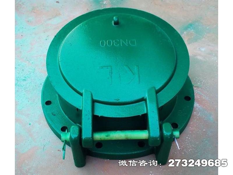 衡阳dn300复合材料拍门