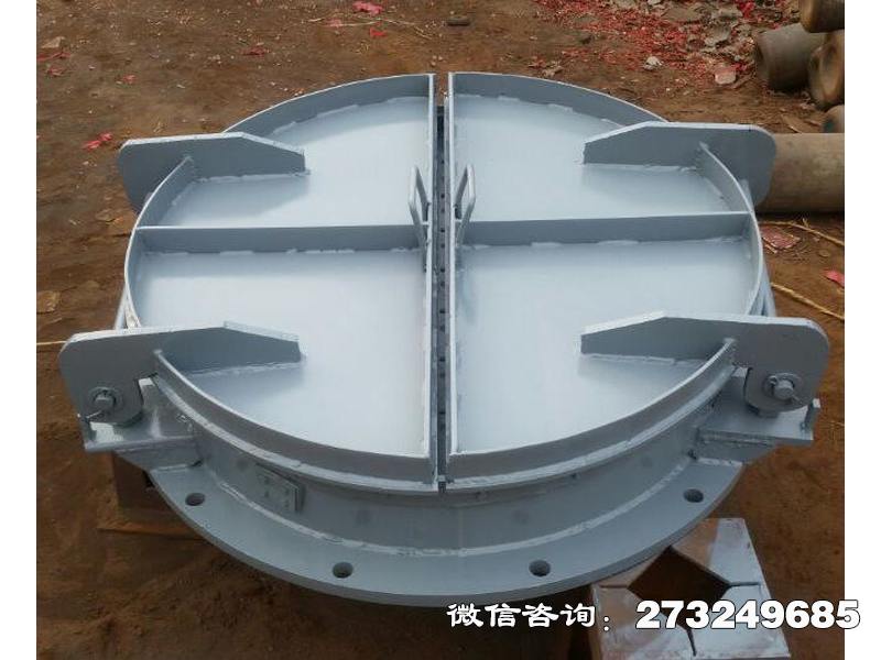皇姑市政管道钢制拍门