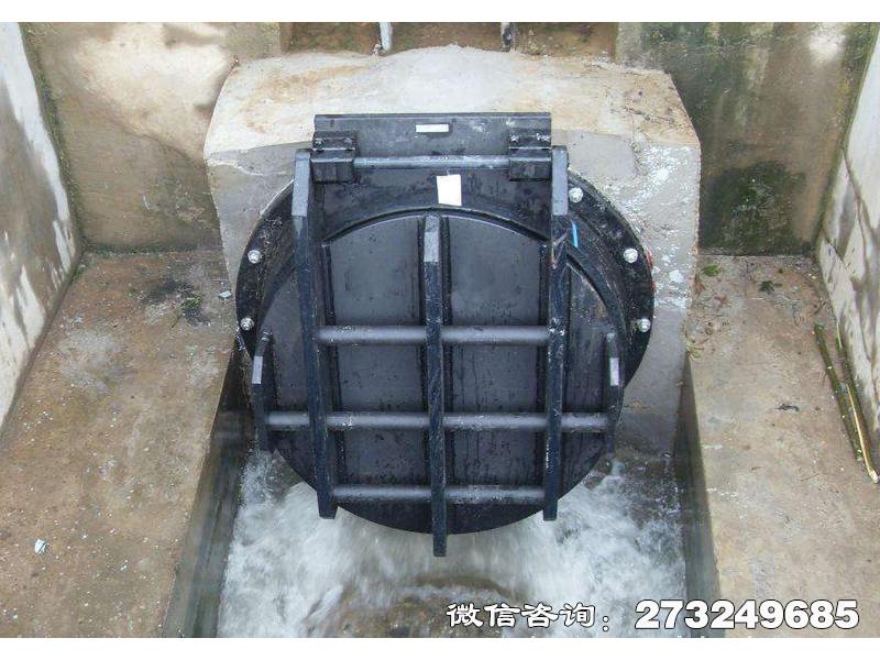 雁峰钢制水渠拍门