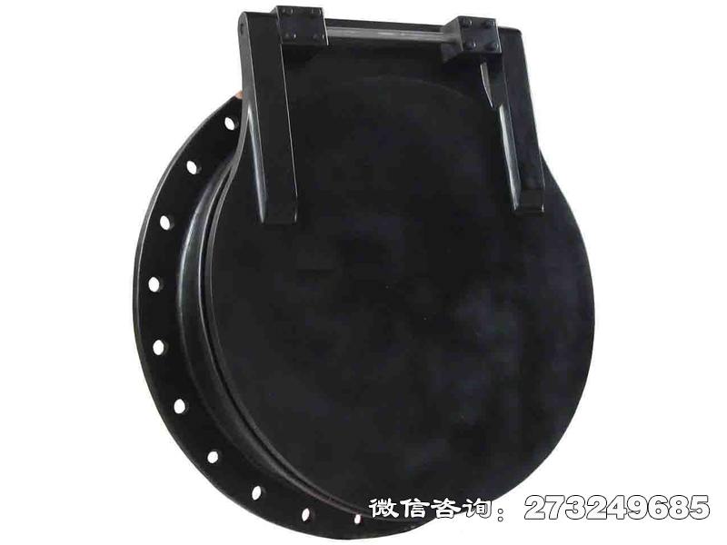 广阳pgz铸铁拍门