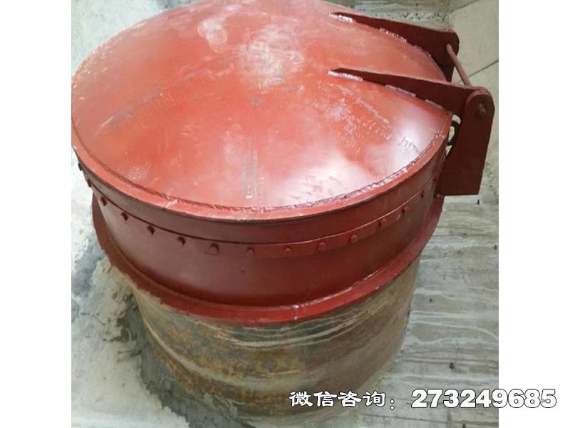 邛崃水渠逆止阀铸铁拍门
